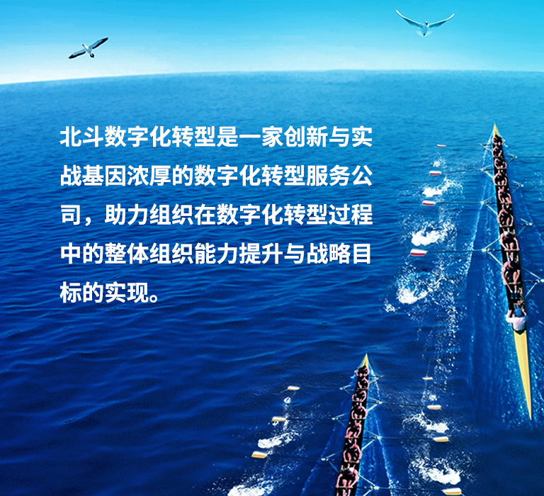 北斗数字化转型,数字化,数字化转型,数智化,数字化转型教练,数字化领导力,数字化商业领导力,领导力发展,数字化转型诊断,绩效跃升,业绩增长,业务转型,组织转型,组织变革,组织发展,商业模式,整合创新,设计思维,数字化人才,数字化人才管理,数字化人才能力模型,数字化人才素质能力

