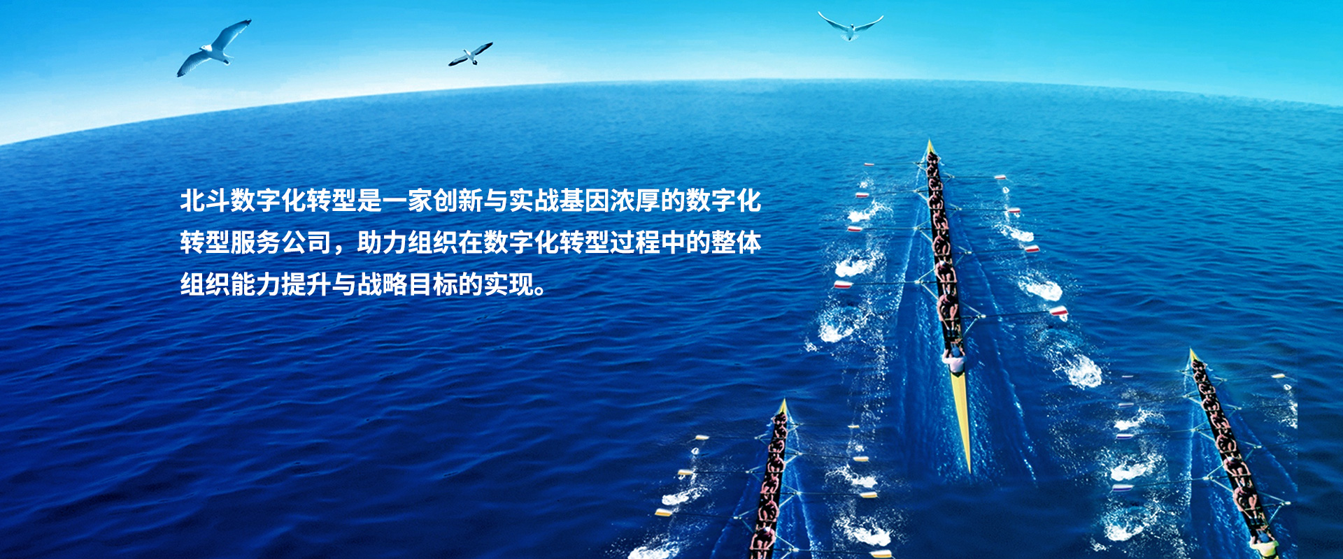 北斗数字化转型,数字化,数字化转型,数智化,数字化转型教练,数字化领导力,数字化商业领导力,领导力发展,数字化转型诊断,绩效跃升,业绩增长,业务转型,组织转型,组织变革,组织发展,商业模式,整合创新,设计思维,数字化人才,数字化人才管理,数字化人才能力模型,数字化人才素质能力

